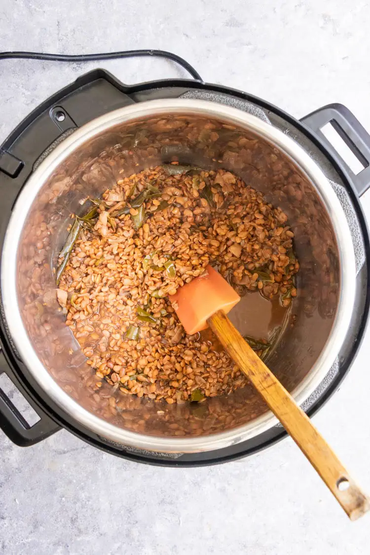 instant pot lentil curry, brown lentil curry