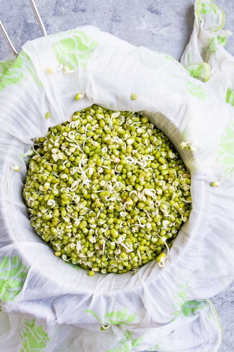 Mung Bean Sprouts, How to Sprout Mung Beans