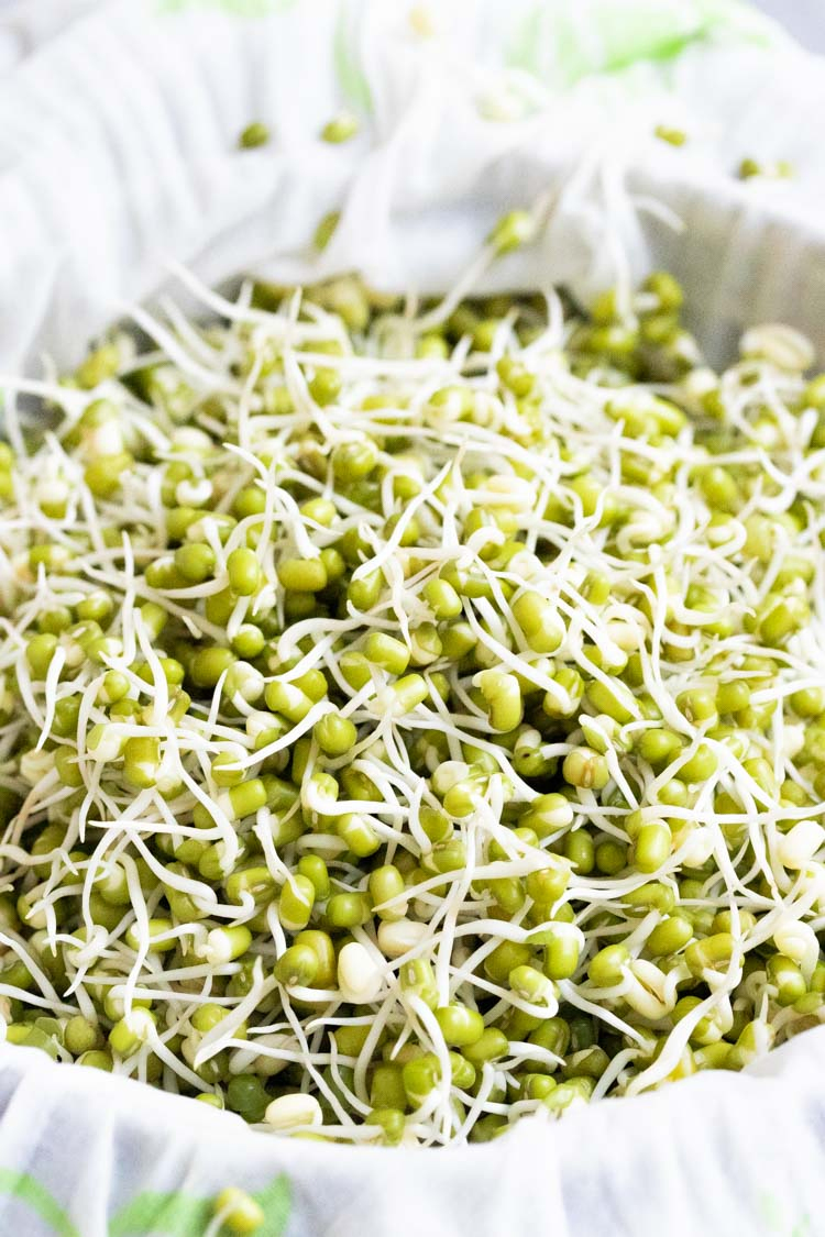 sprouted moong dal